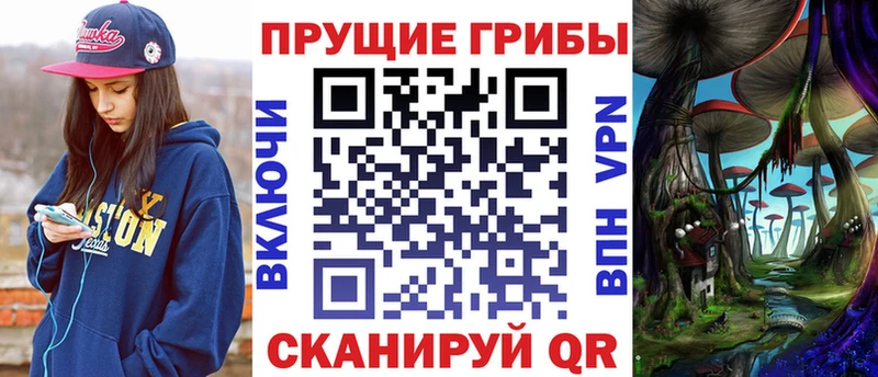 Псилоцибиновые грибы Psilocybe Киреевск