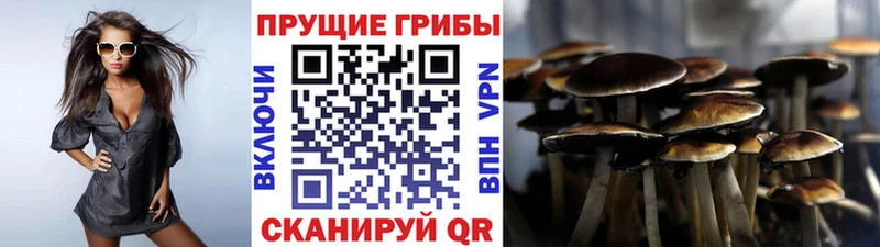Галлюциногенные грибы мухоморы  Киреевск 