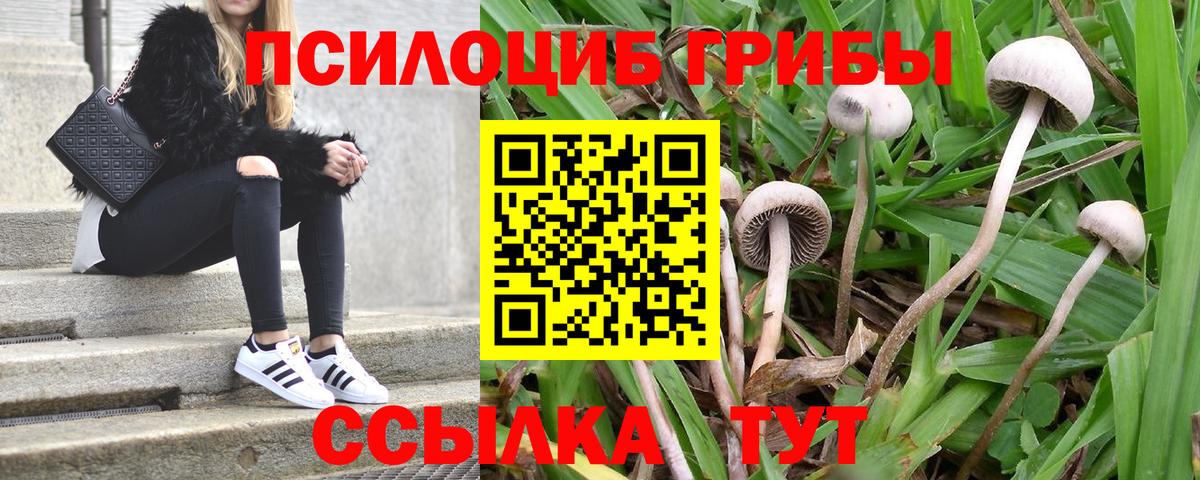 Галлюциногенные грибы Magic Shrooms  Псилоцибиновые грибы прущие грибы  Киреевск 