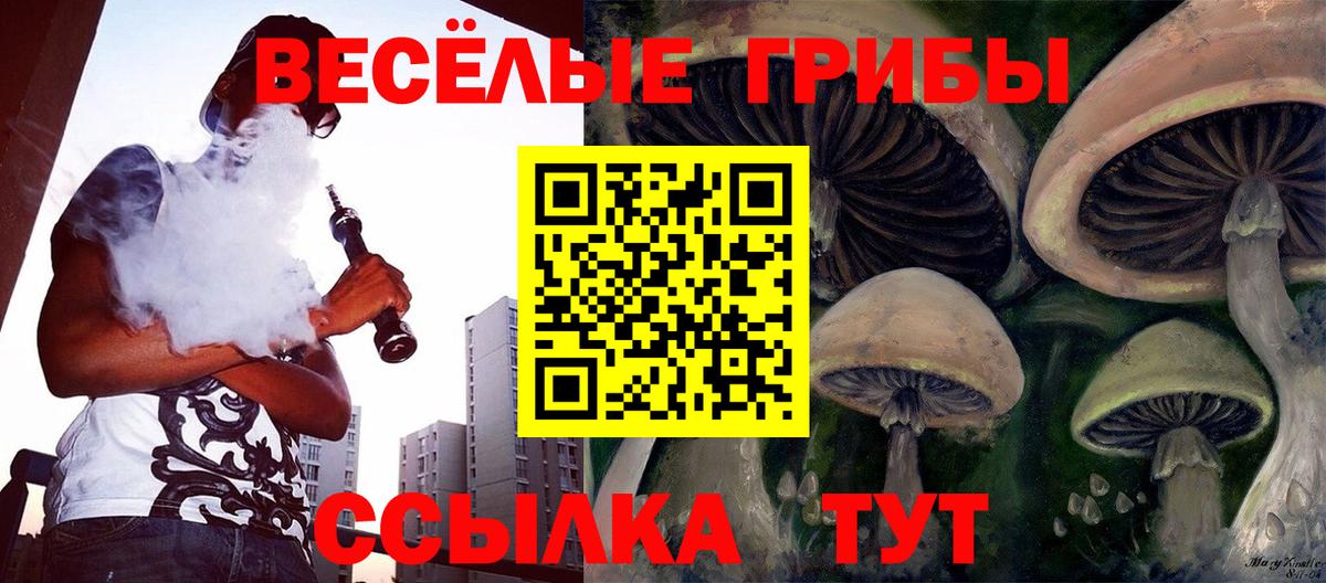 Галлюциногенные грибы Cubensis Киреевск