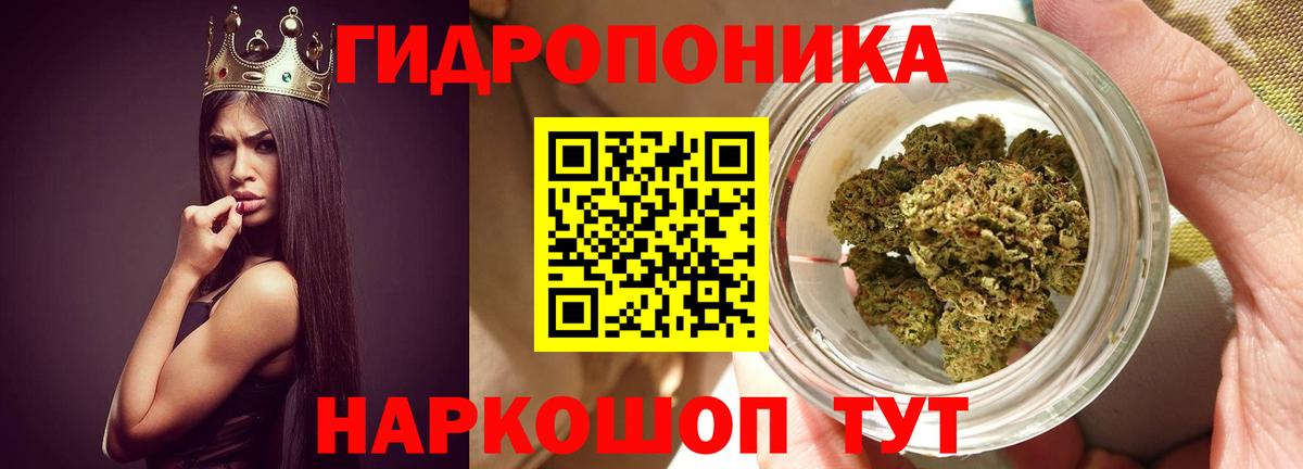 Бошки Шишки сатива  Марихуана тримм  Киреевск  Бошки марихуана White Widow 